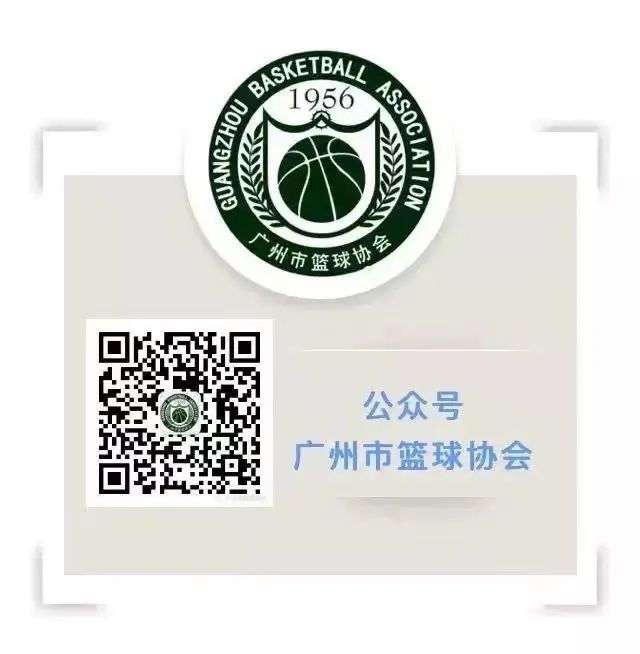 青少年篮球爱好者综合训练方案_1